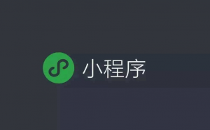 小程序搜索優(yōu)化指南(SEO)來了！